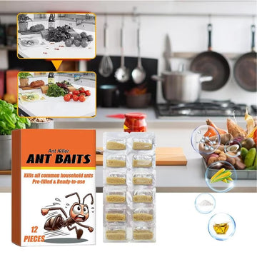 CleanCreeps™ Ant Baits - 12 Pcs